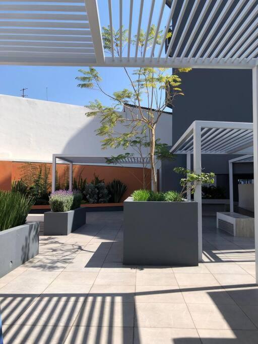 Be Central Departamento Con Alberca En El Centro De Guadalaja 瓜达拉哈拉 外观 照片